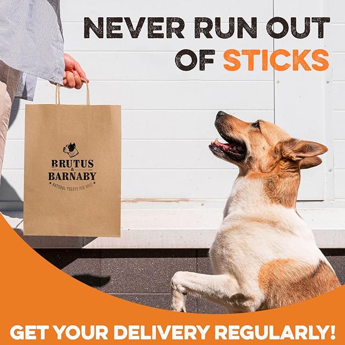 BRUTUS & BARNABY Dehydrated Lung Dog & Cat Treats, 10oz – USA Organ Meat Stick (Beef & Turkey Lung, Liver), High Protein Pet Snack
