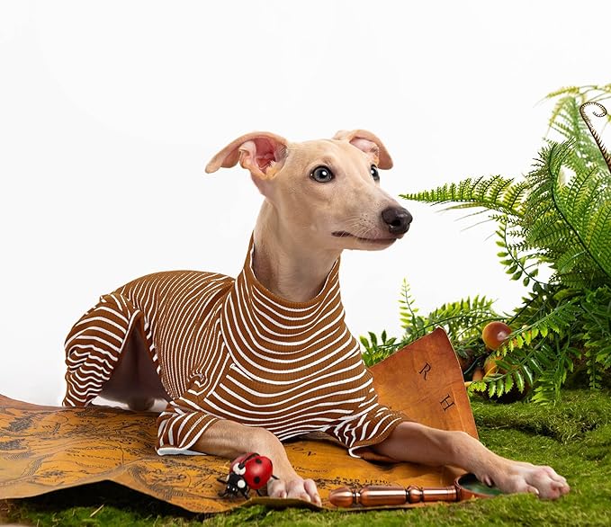 Dog Sweaters for Small Dogs Girls Boys, Striped Pet Sweaters for Fall Winter Dog Clothes, Turtleneck Pullover Knitwear for Small Medium Large Dogs