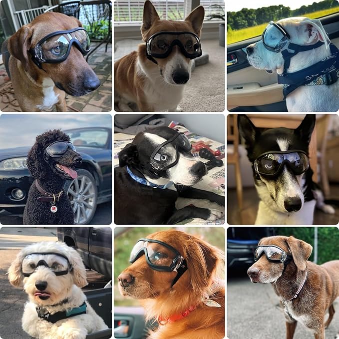 PETLESO Dog Goggles Large Breed, Large Dog Sunglasses Eye Protection for Dogs Windproof Goggles for Medium Large Dog Riding Biking Driving, Clear