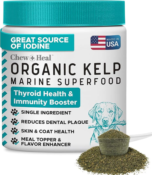 Sea Kelp Powder for Dogs - Thyroid, Dental & Plaque Support, Skin & Coat - Chew + Heal Labs Iodine-Rich 4 oz Kelp Supplement, Immune Health, Natural Seaweed Meal Topper with 5cc Spoon, Made in USA