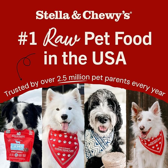 Stella & Chewy's Freeze-Dried Raw Dinner Patties - Absolutely Rabbit Recipe - High Protein Grain-Free Puppy & Dog Food - Perfect For Picky Eaters - 25 oz