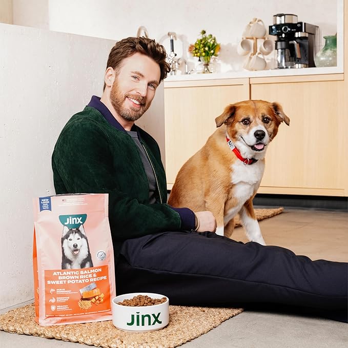 Jinx Premium Dry Dog Food Small Breed - Real Salmon & Sweet Potato Kibble with Superfoods for Immune Support & Probiotics for Digestive Support - No Fillers – 4lb