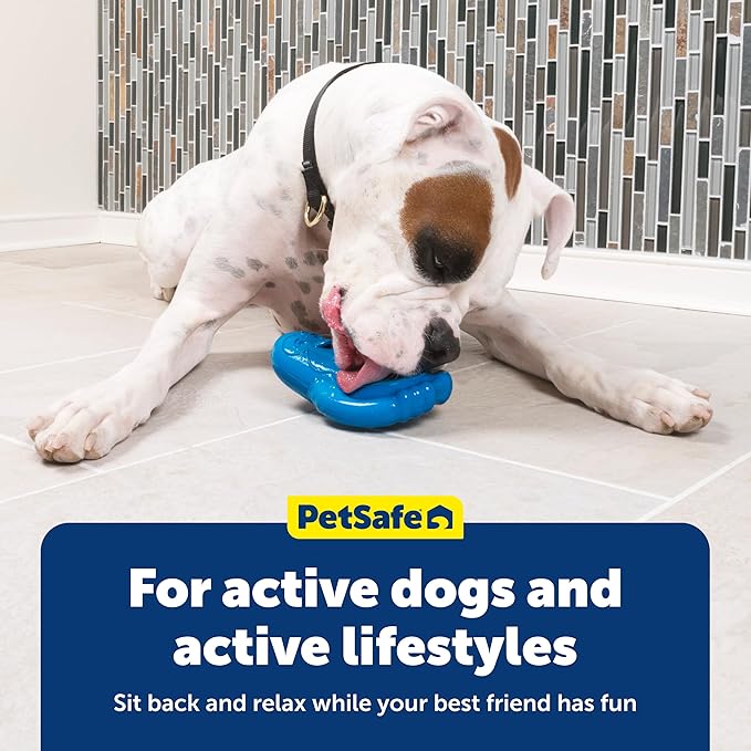 PetSafe Freezable Treat Holding Chilly Penguin - Durable,Vanilla-Scented,Rubber,Freezable Interactive Pet Puzzle for Boredom or Separation Anxiety - for Medium & Large Dogs,(Pack of 2)