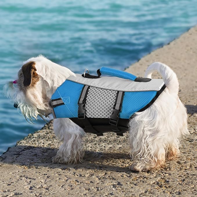 Queenmore Dog Life Jacket Vest for Swimming Boating Kayaking, Small Medium Doggie Puppy Life Preserver Lifesaver Pet PFD Lifejacket Safety Water Vest Pool Floatie (New Blue,M)