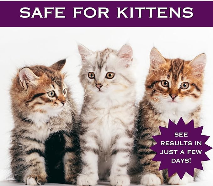 Feline Ring Care | Control & Help with Cat Ringworm, Mange, Dermatitis, Dog Paw Yeast. Also works on Dogs, Hamsters, Guinea Pigs, Rabbits, etc. 8 oz Ready to Use Spray for Cats and Itch Relief