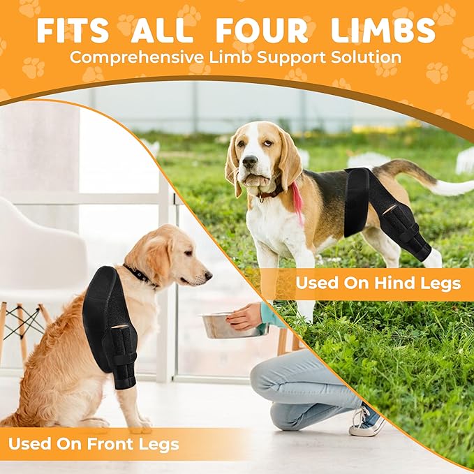 New Dog Knee Brace for Luxating Patella, ACL or Cruciate Ligament Injury Recovery, Osteoarthritis, Hip Dysplasia, or Arthritis Pain Relief, Flexible Spring Support (Large), Black