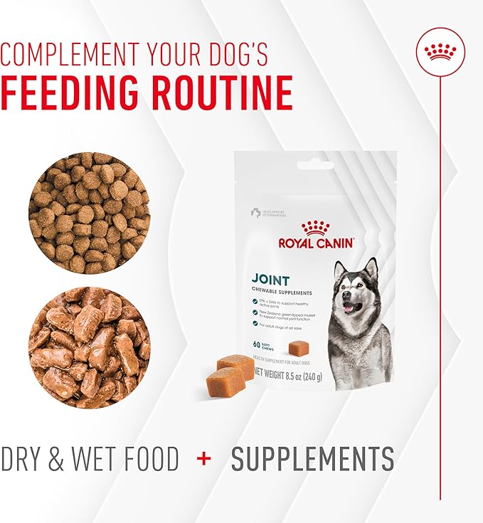 Royal Canin Joint Dog Supplement Soft Chews for Adult Dogs, 60 Count (Pack of 4)