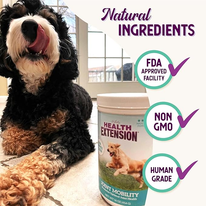 Health Extension Chondroitin with Glucosamine for Dogs, 8oz - Arthritis Pain Relief, Joint & Hip Supplement, Cheese Flavored Powder