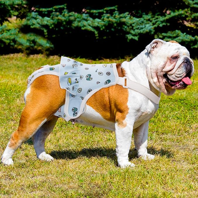 QBLEEV Dog Diapers Female Washable Sanitary Pantie with Adjustable Suspender, Reusable Doggie Period Panties, Pet Underwear Diaper Jumpsuits for Male Dogs in Heat, Puppy Diapers for French Bulldog L