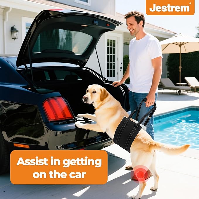 Dog Lift Harness, Adjustable Comfortable Dog Sling with Handle for Hind Leg Support Soft Lift Support and Rehab Harness for Weak Rear Legs, Helps Senior, Injured, Disabled and After ACL Surgery Dogs M