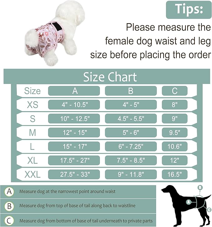 Female Dog Diapers 5Pcs - Premium Reusable Diapers for Doggie in Heat - Highly Absorbent Dog Diapers Female for Pet Incontinence with Adjustable Snaps, Breenish Lily Flower, XL