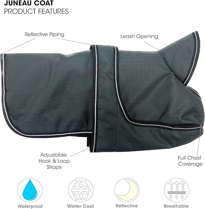 PetRageous 7303CGS Juneau Waterproof Cold Weather Dog Coat with Full Chest Coverage Leash Opening 11-Inch Long Heavyweight Jacket for Small Breeds and Puppies, Charcoal Grey