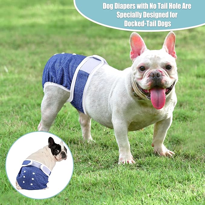 wegreeco Frenchie Dog Diapers Female No Tail Hole,Washable Pet French Puppy Bulldog Diapers Female for Period Heat,Reusable Doggy Doggie Dog Diapers （Jeans Medium）