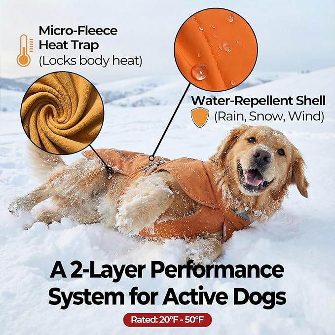 Softshell Dog Winter Vest, Fleece Lined Water-Repellent Jacket with Fur-Safe Buckle (No Hook & Loop) for Hiking, Adjustable Reflective Winter Coat for Active Dogs (Aurantium, Medium)