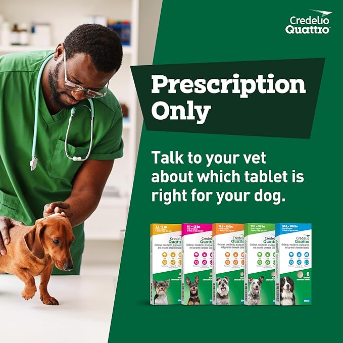 Credelio Quattro Dog Flea & Tick Treatment + Heartworm & Parasite Protection, 6.1-12 lbs (6 Chewable Tablets)