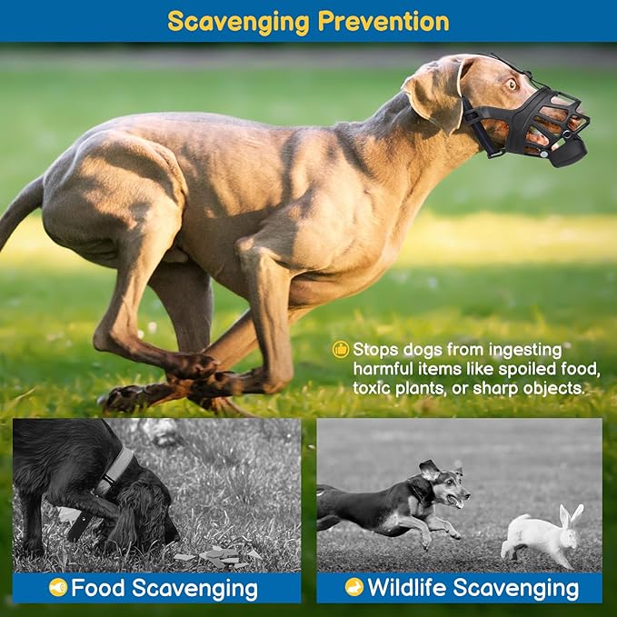 BARKLESS Basket Muzzle for Dogs, Humane Muzzle to Prevent Biting and Scavenging, Snap-on Treat Cover Helps Dog Acclimatize Mouth Cover, Adjustable Cage Muzzle for Positive Training