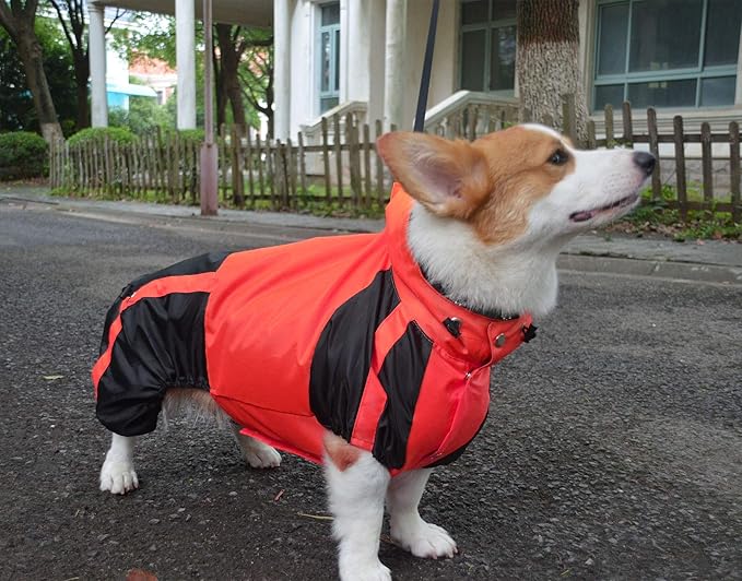 Lovelonglong Welsh Corgi Dog Hooded Raincoat, Dachshund Rain Jacket Poncho Waterproof Clothes with Hood Breathable 4 Feet Four Legs Rain Coats for Corgis Dachshund Red D-L