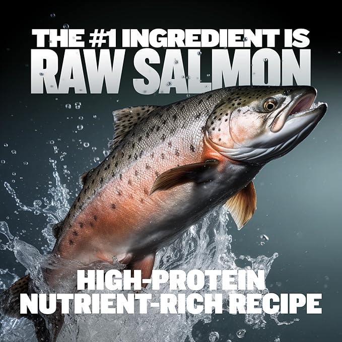 Bully Max Freeze-Dried Raw Dog Food Toppers for Puppies & Adult Dogs - Salmon with Real Fruits & Veggies - Meal Enhancers with Vitamins & Minerals - Feed as Puppy Treat or Dog Meal