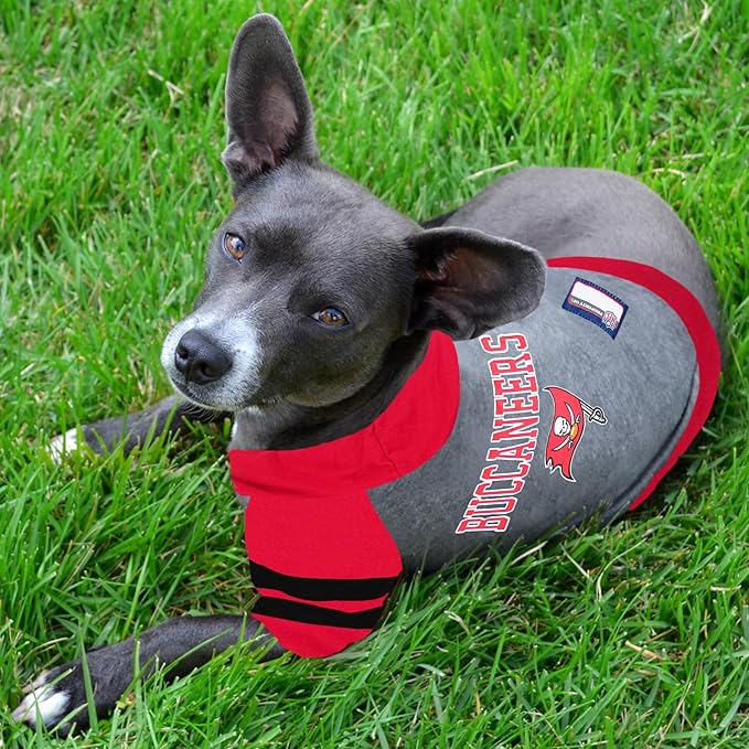 Tampa Bay Buccaneers Hoodie Tee Shirt