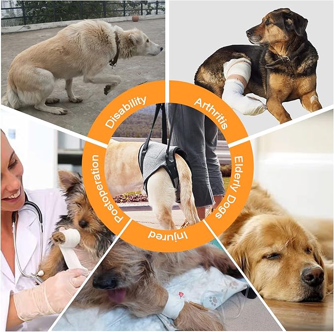 Dog Harness with Handle, Dog Sling for Large Dogs Hind Leg Support, Adjustable Dog Support Harness for Back Legs Elderly Injured Disabled Dogs with Reserved Urination Groove, Removable Sponge Handle