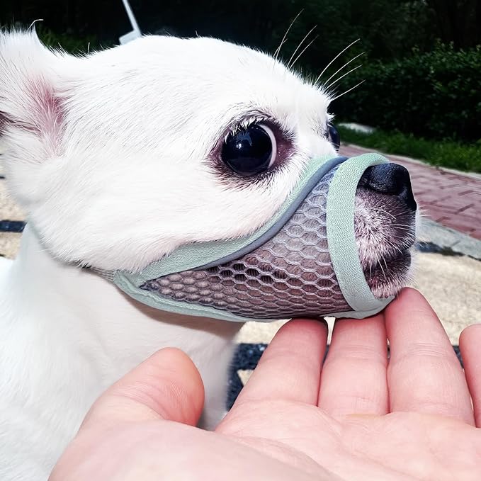 Dog Muzzle for Small Medium Dogs to Prevent Biting for Brachycephalic Dogs, Mini Poodle,Corgi,Short Snout Friendly, Soft Breathable Lightweight Mesh,Open Front, for Grooming Vet Visits (Mint Blue, M)