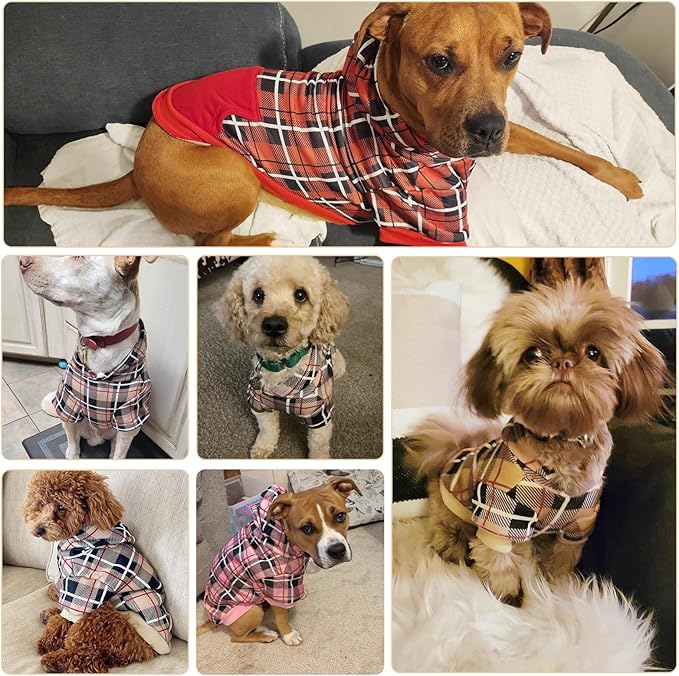 EXPAWLORER Plaid Dog Hoodie - British Style Warm Dog Sweater Shirt with Leash Hole,Pitbull Clothes Outfits,Winter Coat Apparel for All Breeds Puppy Girl Boy-Cat Apparel,Buffalo Check X-Large
