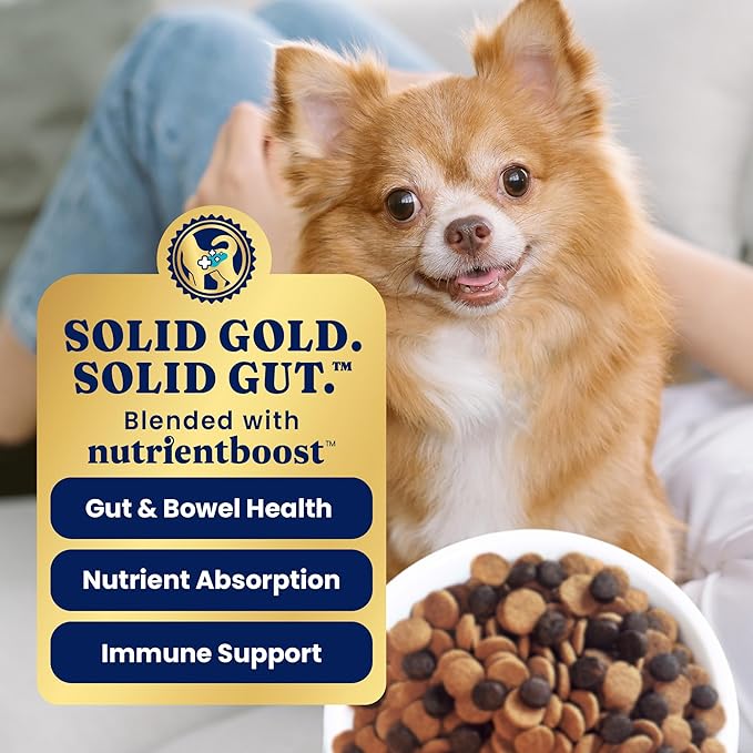 Solid Gold Toy & Small Breed Dog Food Dry Small Bites – Bison Healthy Whole Grain Dogfood – High Fiber Healthy Dog Kibble w/Probiotics for Gut Health – NutrientBoost™ – 3.75 lb