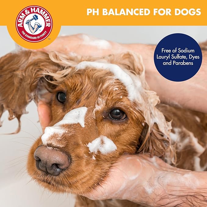 Arm & Hammer for Pets Odor Control Pet No-Rinse Foam with Baking Soda, Kiwi Blossom Scent, Best Odor Eliminating Foam for Dogs and Puppies; Waterless Dog Deodorizer, 16 Fl Oz (Pack of 2)