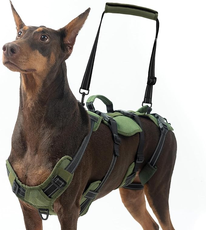 BINGPET Dog Lift Harness for Large Dogs,Full Body Support Rehabilitation Dog Sling Carrier with Handles,Reflective Multifunctional Mobility Assistance Vest for Senior Pets Joint Injuries,Arthritis,XL