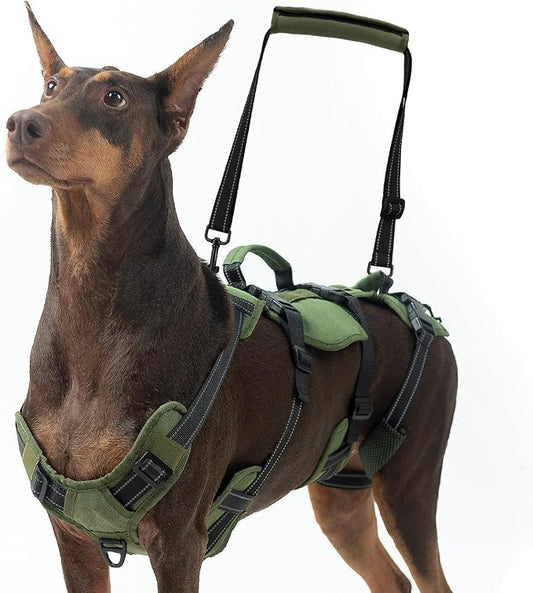 BINGPET Dog Lift Harness for Large Dogs,Full Body Support Rehabilitation Dog Sling Carrier with Handles,Reflective Multifunctional Mobility Assistance Vest for Senior Pets Joint Injuries,Arthritis,XL