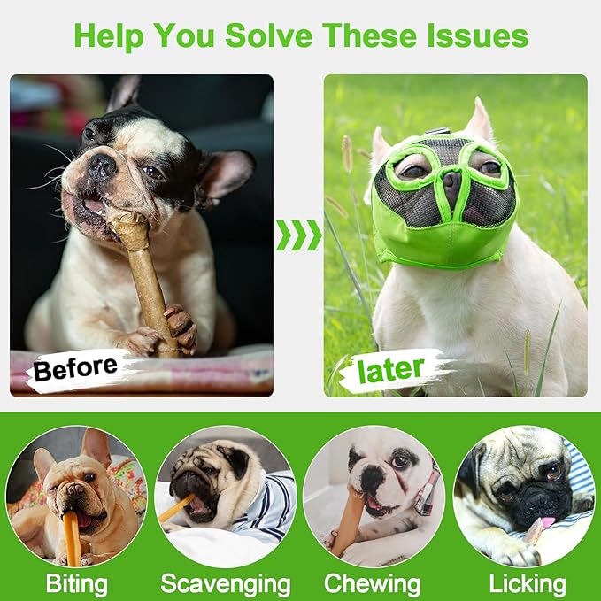 Short Snout Dog Muzzles- Adjustable Breathable Mesh Bulldog Muzzle for Biting Chewing Training Grooming Dog Mask,Green L