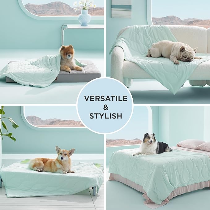 Bedsure Premium Cooling Blanket for Medium Dog - Q-MAX>0.5, Breathable Summer Washable Cold Pet Throw Blanket, Soft Durable Self Cooling Cat Mat for Hot Weather, Turquoise Green, 30x40