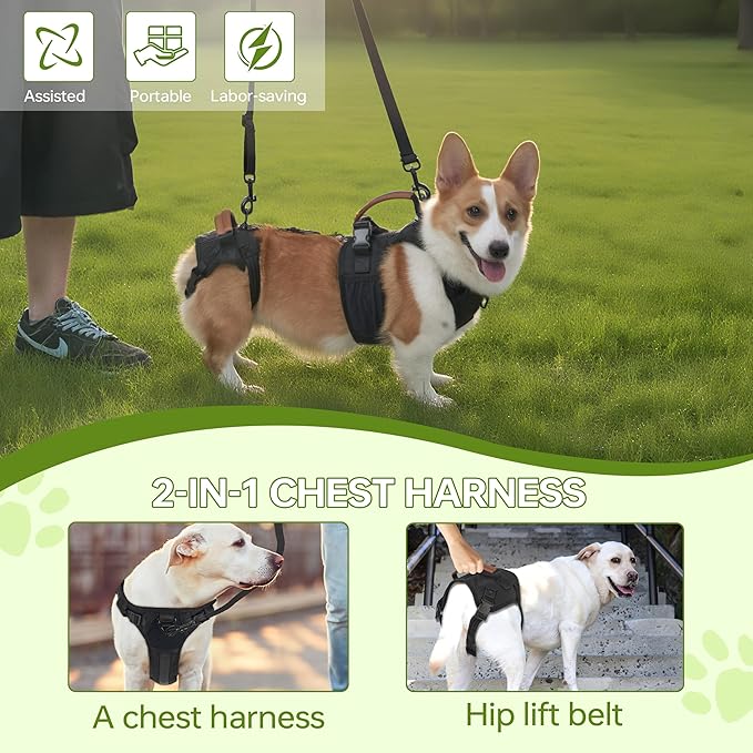 Dog Lift Harness for Male Dogs - 2-in-1 Full Body Support Aid & Sling, Comfortable & Chafe-Free for Post-Surgery Recovery and Elderly Dog Mobility, Hind Leg Assistance, Supports up to 55 Lbs (L)