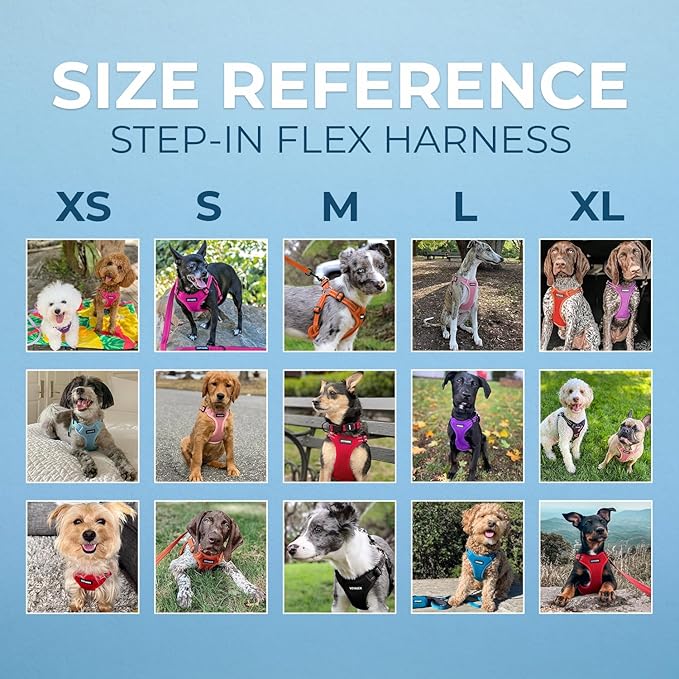 Best Pet Supplies Voyager Adjustable Step-in Flex Breathable Mesh Dog Harness for Small Medium Large Dogs (Army/Black Trim), M