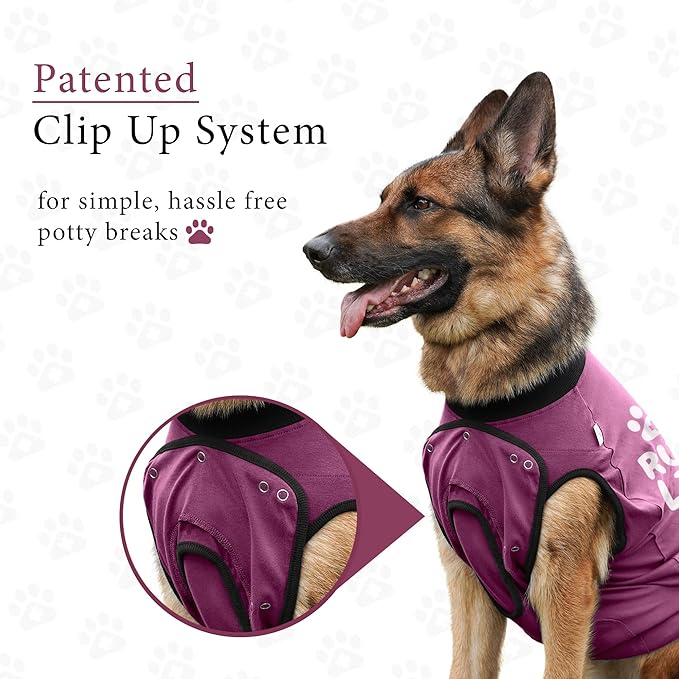 BellyGuard Dog Surgery Recovery Suit, Dog Onesie for Post-Op Care, Recovery Apparel for Female and Male, Surgical Body Cover for Canine Healing Support