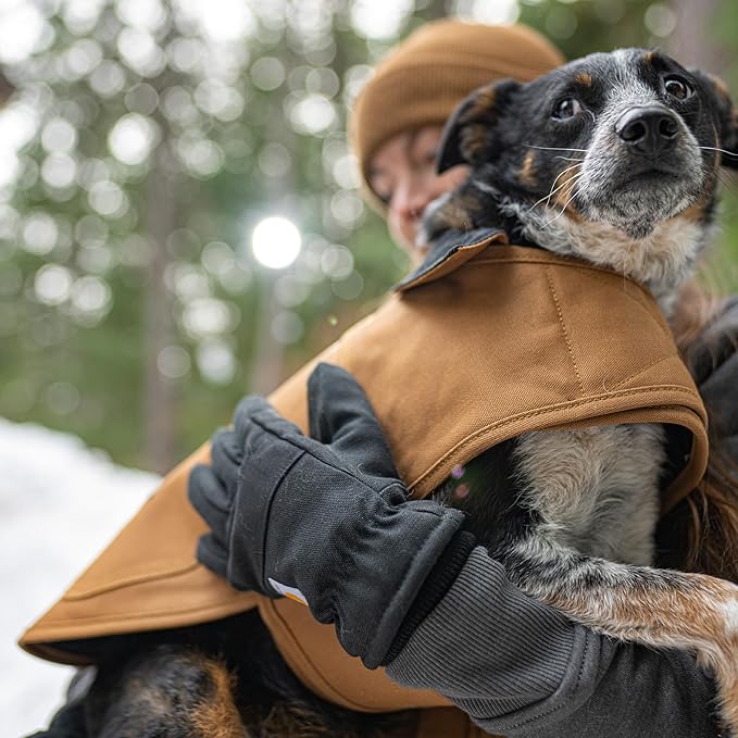 Carhartt Firm Duck Insulated Dog Chore Coat, Durable Weather Resistant Jacket for Cold and Windy Conditions, Hunter Orange, Small