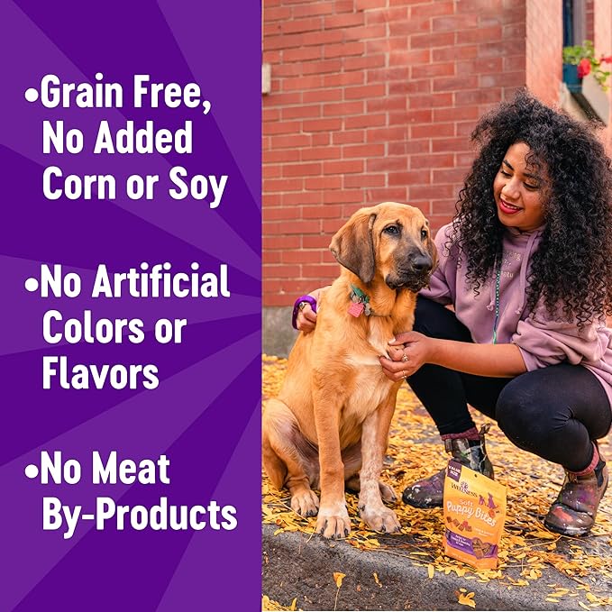 Wellness Puppy Treats, Natural, Training Treat, Grain Free, Soft Lamb & Salmon (3 Ounce Bag)