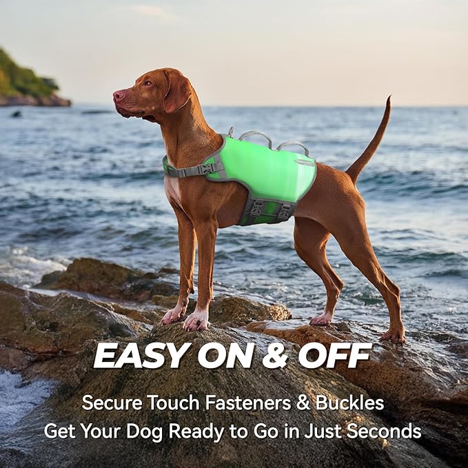 VIVAGLORY Neoprene Dog Life Vest, Dog Life Jacket for Swimming & Boating, Lightweight & Buoyancy for Puppy Doggy, Swimming Vest with Handle, XL, Grape Green