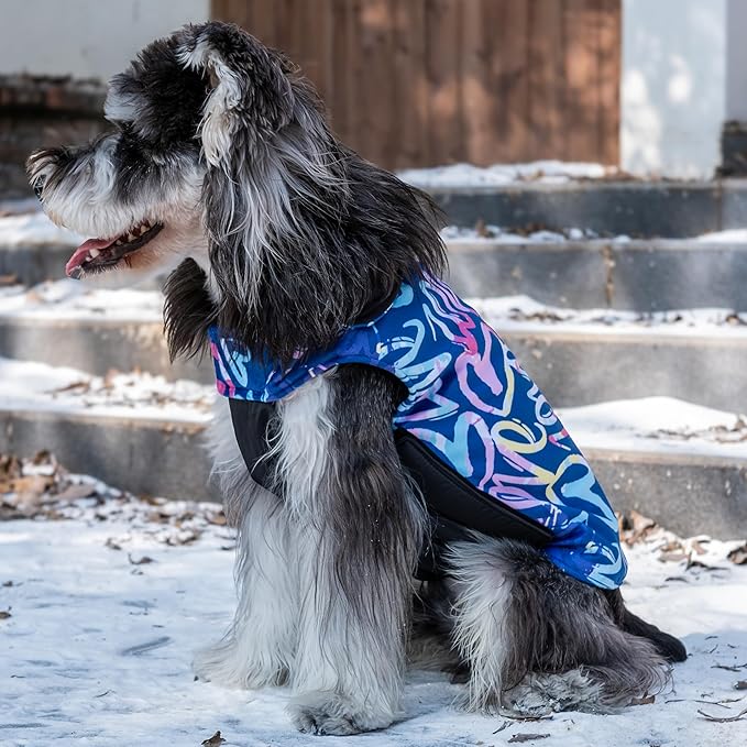 CuteBone Winter Dog Coat - Waterproof Windproof Reversible Vest, Thick Adjustable Cold Weather Jacket for Small Medium Large Dogs, Soft with Leash Hole