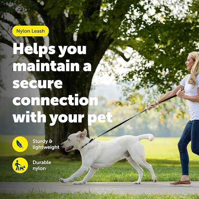 PetSafe Nylon Leash - Helps Maintain Secure Connection on Walks - Durable Pet Leash with Easy Clip - 1 in. x 6 ft. - Apple Green