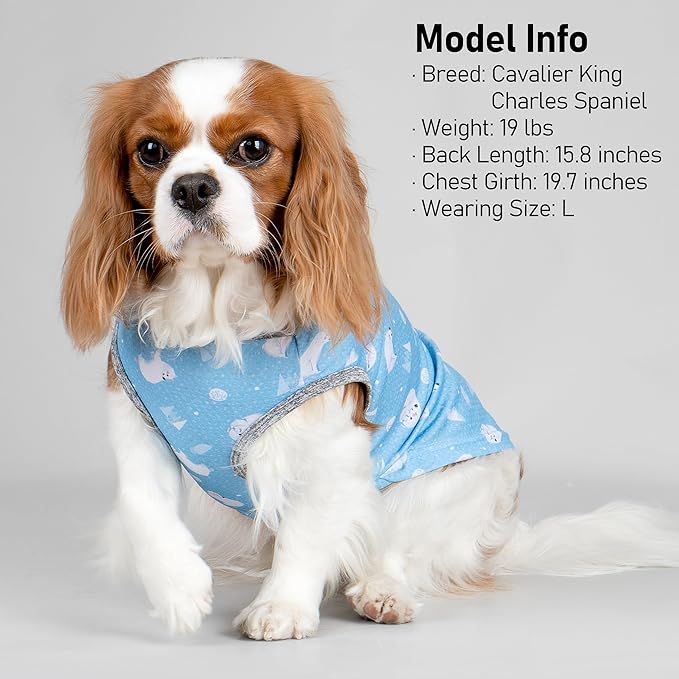 KYEESE 2Pack Dog Cooling Shirt, Breathable Dog Shirt for Large Dogs, Sun Protection Dogs Cooling Vest Tank Top, Lightweight Soft Sleeveless Summer Pet Clothes, Polar Bear+Ice, 3XL