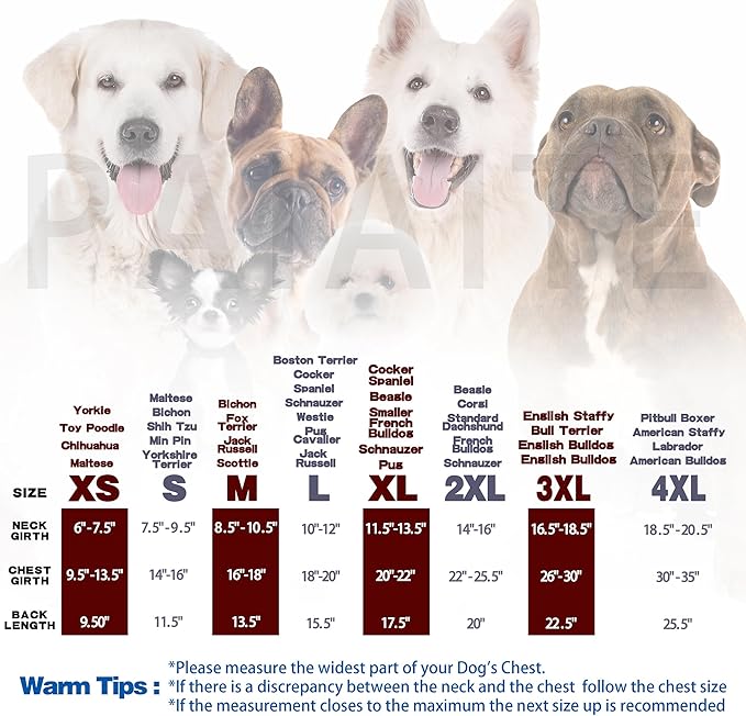 Personality Canine Attire: Soft, Lightweight Cotton Dog Clothes with 'The Dog Face' Print. Small and Medium Breeds, Perfect for Everyday Wear, Comfortable and Breathable Dog Shirt Grey L