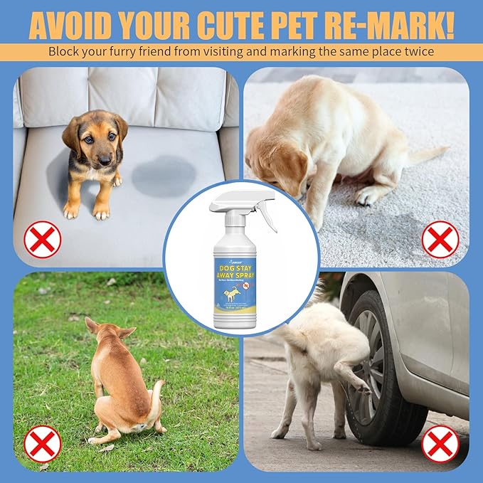 16 Fl Oz Training Aid to Stop Dogs from Marking Inside The House - Gentle and Effective Pet Behavior Aid - Help Dogs Stop Marking in Your Home