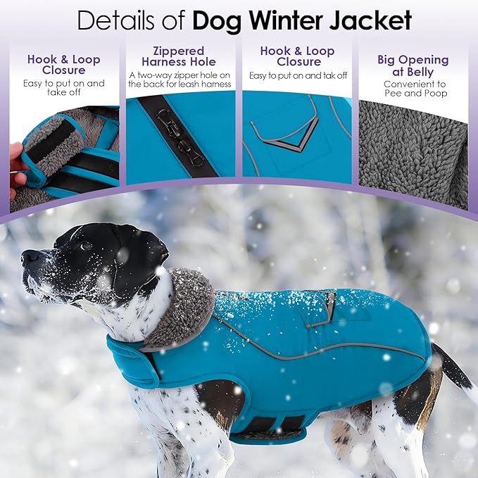 SUNFURA Dog Winter Coat, Medium Dog Coat Jacket with Fleece Lining for Cold Weather, Warm Puffer Jacket Turtleneck Snowsuit with Leash Hole for Jack Russel, Boston Terrier, Turquoise M