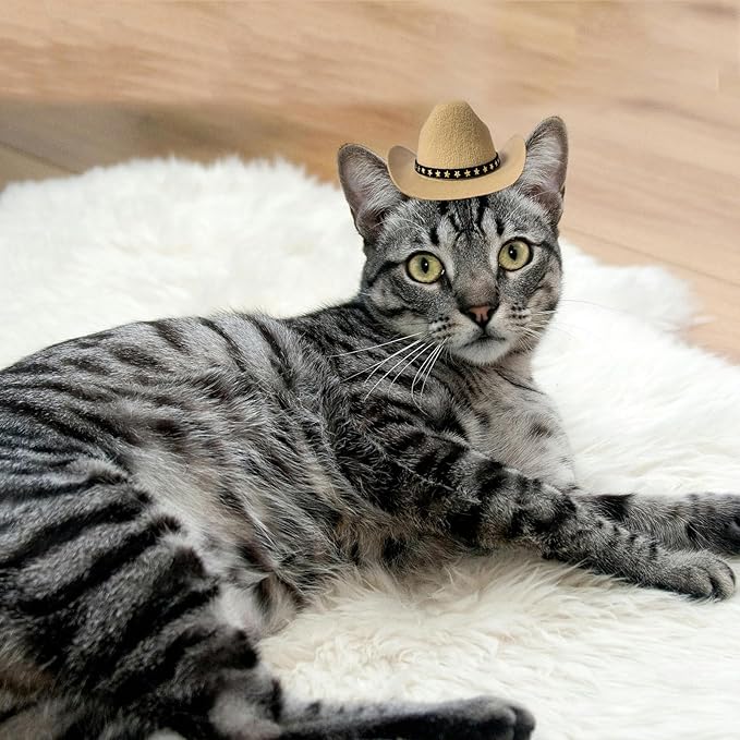 Dog Cowboy Hat Cat Cowboy Hat Pet Cowboy Costume Mini Cowboy Hat for Dogs Cat Holiday Halloween Pet Party Decoration (Khaki, Small)