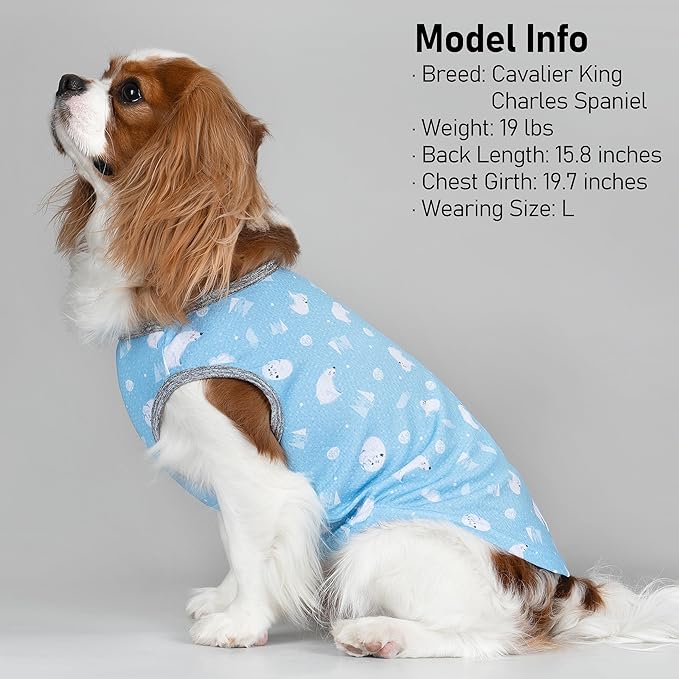 KYEESE 2Pack Dog Cooling Shirt, Breathable Dog Shirt for Small Dogs, Sun Protection Dogs Cooling Vest Tank Top, Lightweight Soft Sleeveless Summer Puppy Clothes, Polar Bear+Ice, S
