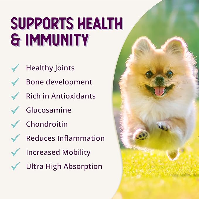 Health Extension Chondroitin with Glucosamine for Dogs, 8oz - Arthritis Pain Relief, Joint & Hip Supplement, Cheese Flavored Powder