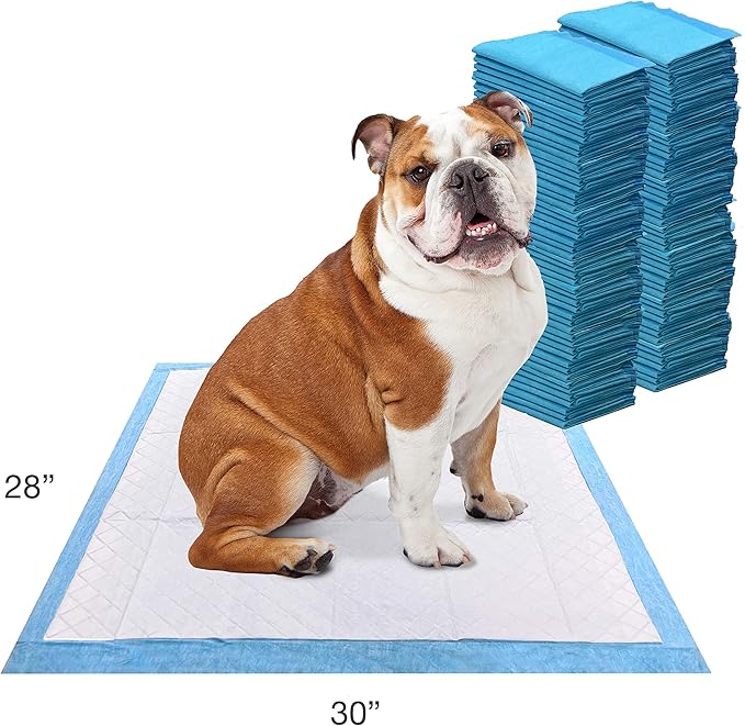 Four Paws Wee-Wee Odor Control with Febreze Freshness Pee Pads for Dogs & Puppies, Leak-Proof Dog Housebreaking Potty Training Floor Protection, Spring Fresh Scent, 22" x 23", 10 Count