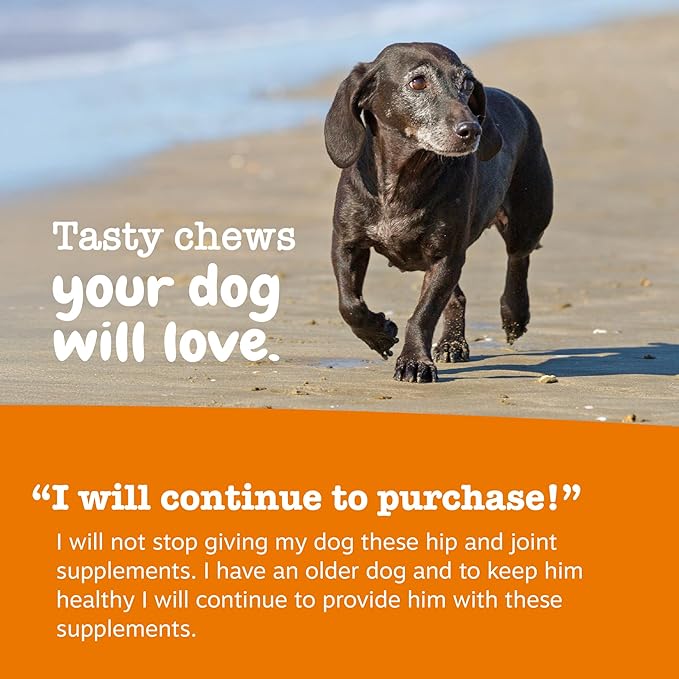 Zesty Paws Mobility Bites Joint Supplement for Dogs - Soft Chews with Glucosamine for Dogs, Chondroitin, & MSM + Vitamins C and E - Hemp - Chicken - 90ct