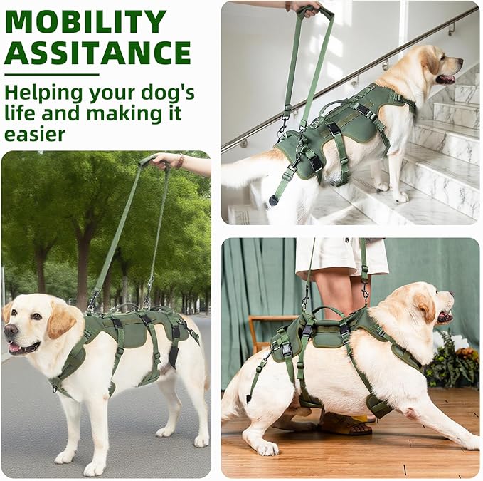 PUPTECK Dog Lift Harness for Medium Large Sized Dog, Rehabilitation Sling for Hind Leg Support, Multifunctional Mobility Assistance Harness for Old, Disabled, Joint Injuries, Paralysis Dogs, Green M